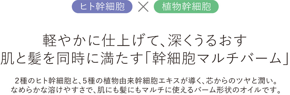 幹細胞マルチバーム