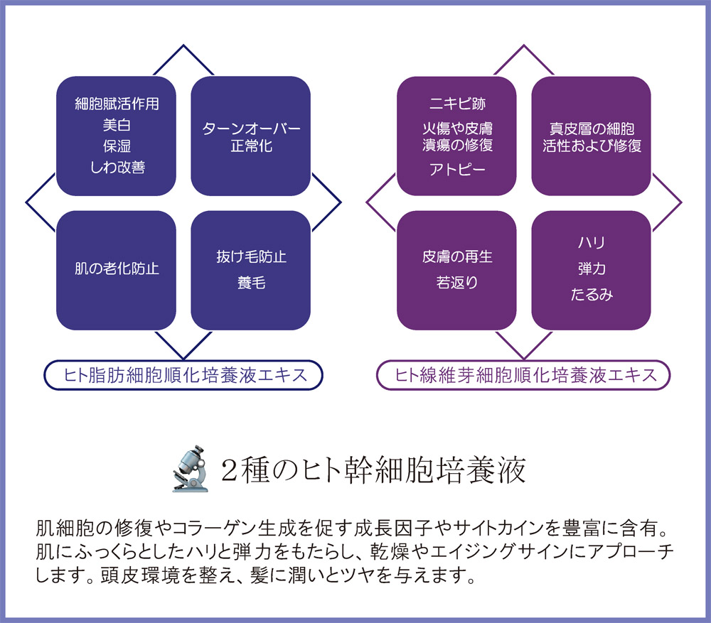 2種のヒト幹細胞